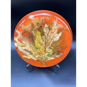 VTG Lucite Acrylic Dried Flower Large Orange Trivet Wall Plaque Decor Hot Plate